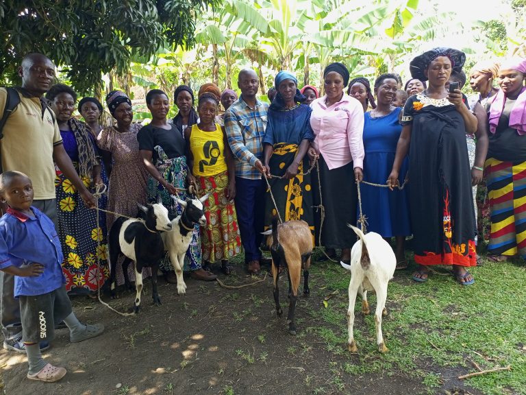 🌸 Empowering Women, Transforming Lives